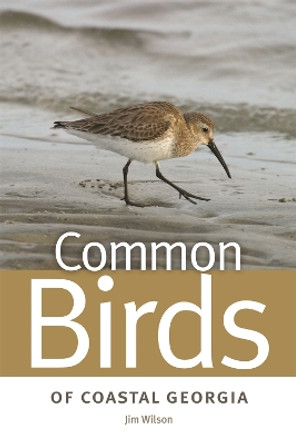Common Birds of Coastal Georgia by Jim Wilson 9780820338286