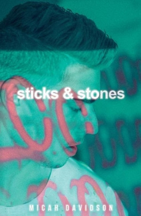 Sticks and Stones by Micah Davidson 9780960063901