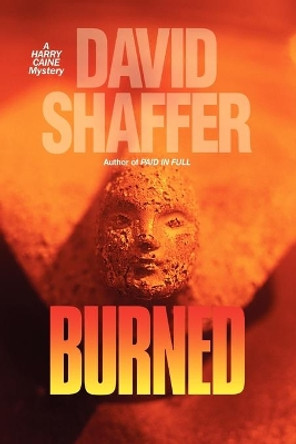 Burned by David Shaffer 9780976810827