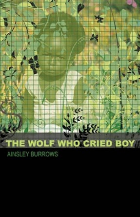 The Wolf Who Cried Boy by Ainsley Burrows 9780981858418