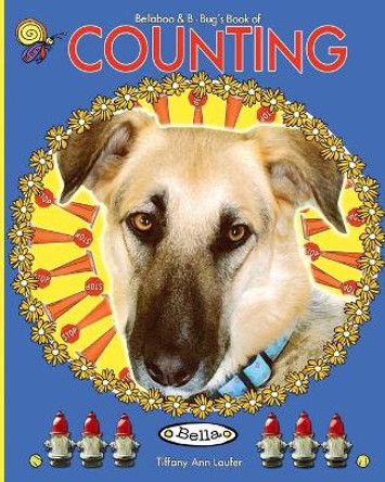 Bellaboo & Bbug's Book of Counting by Tiffany Ann Laufer 9780982008812