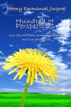 Hundreds of Perspectives: Your favorite Bible stories in a different and fun perspective by Jeremy Jingwei 9780987671158