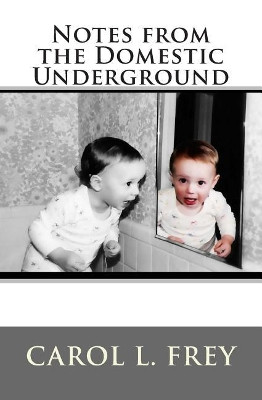 Notes from the Domestic Underground by Carol Frey Yingling 9780989591409