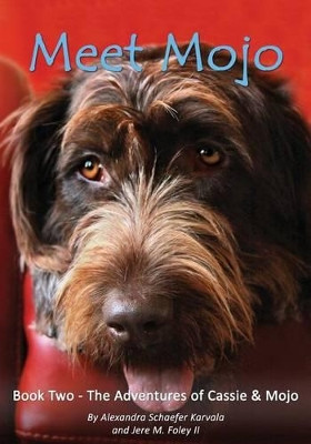 Meet Mojo by Alexandra Schaefer Karvala 9780991280612