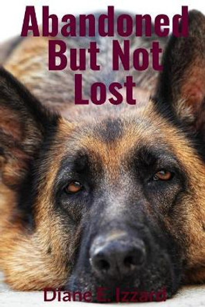 Abandoned But Not Lost by Diane E Izzard 9780997006544