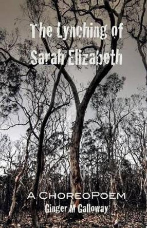 The Lynching of Sarah Elizabeth by Ginger M Galloway 9780991297573