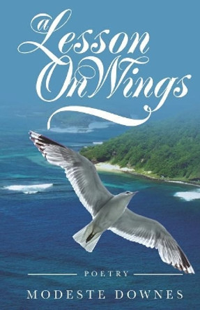 A Lesson on Wings by Modeste Downes 9780970443298