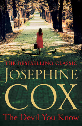 The Devil You Know: A deadly secret changes a woman's life forever Josephine Cox 9781472245533