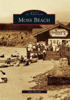 Moss Beach by June Morrall 9780738580753