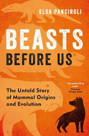 Beasts Before Us: The Untold Story of Mammal Origins and Evolution by Elsa Panciroli