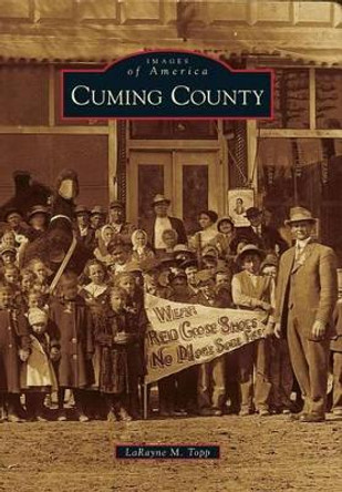 Cuming County by Larayne M. Topp 9780738590707