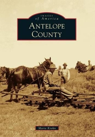 Antelope County by Marie Krohn 9780738598871