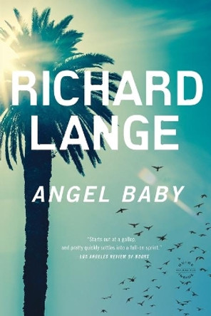 Angel Baby by Richard Lange 9780316219839