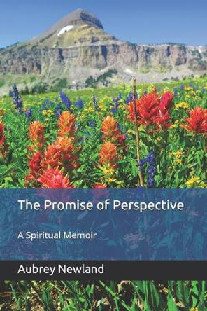 The Promise of Perspective: A Spiritual Memoir by Aubrey Newland Phd 9780578427515