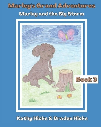 Marley and the Big Storm by Braden Hicks 9780578589343