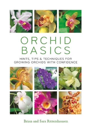 Orchid Basics by Brian Rittershausen 9780600635321