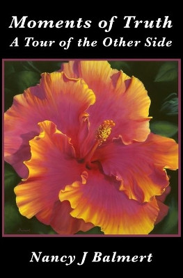 Moments of Truth A Tour of the Other Side by Nancy Jaye 9780615683553
