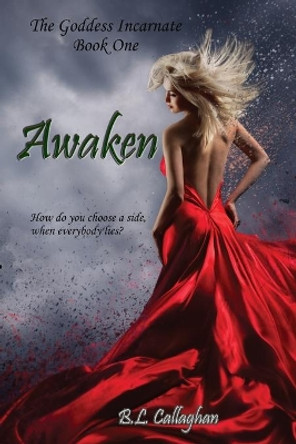 Awaken by B L Callaghan 9780648844853