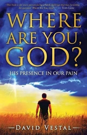 Where Are You, God?: His Presence in Our Pain by David Vestal 9780692748480