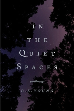 In the Quiet Spaces by C E Young 9780692806289