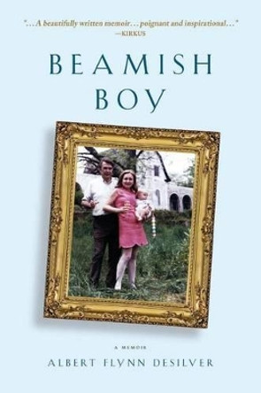 Beamish Boy: A Memoir of Recovery and Awakening by Albert Flynn Desilver 9780966943092