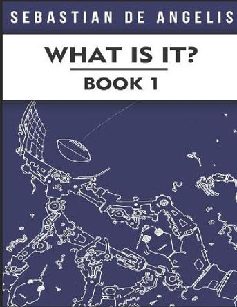 What Is It Book 1: Drawings 1 to 250 by Sebastian de Angelis 9780967994703