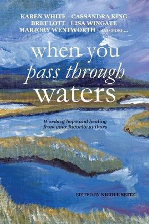 When You Pass Through Waters: Words of Hope and Healing from Your Favorite Authors by Nicole Seitz 9780996940207