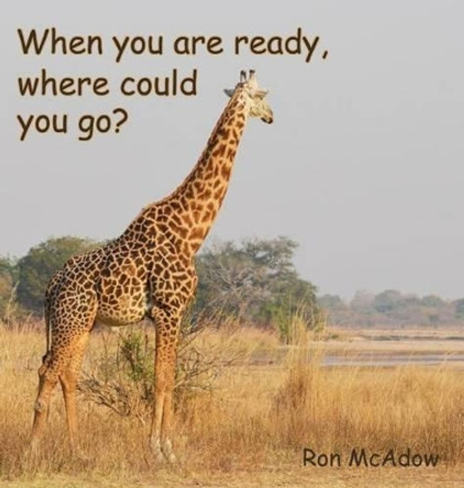 When You Are Ready, Where Could You Go? by Ron McAdow 9780990608486