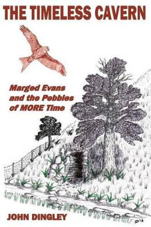 The Timeless Cavern: Marged Evans and the Pebbles of MORE Time by John Dingley 9780991442348