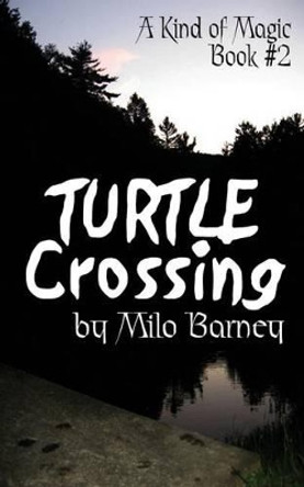 Turtle Crossing by Emily King 9780985234058