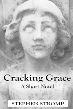 Cracking Grace by Shawn DuBois 9780615970653