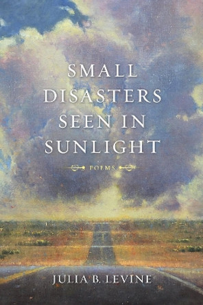 Small Disasters Seen in Sunlight: Poems by Julia B. Levine 9780807154533