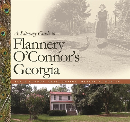 A Literary Guide to Flannery O'Connor's Georgia by Craig Amason 9780820327631