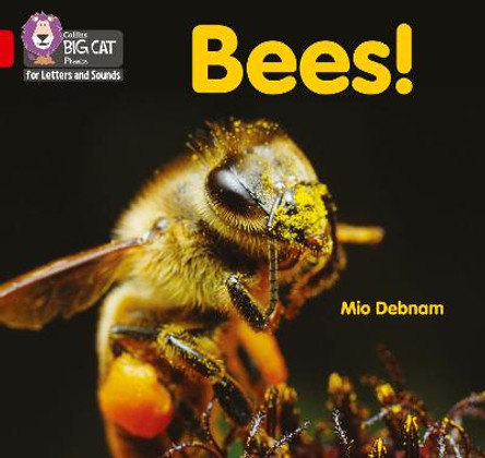 Collins Big Cat Phonics for Letters and Sounds - Bees!: Band 02B/Red B by Mio Debnam