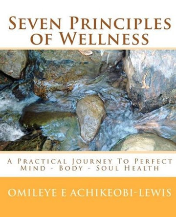 Seven Principles of Wellness: Healing Your Mind, Body and Spirit Through Ayurveda by L Derrick Lewis 9780954206642