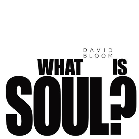 What Is Soul? by David Bloom 9780976914846