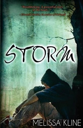 Storm by Melissa Kline 9780985813444