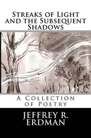 Streaks of Light and the Subsequent Shadows by Jeffrey R Erdman 9780986866401