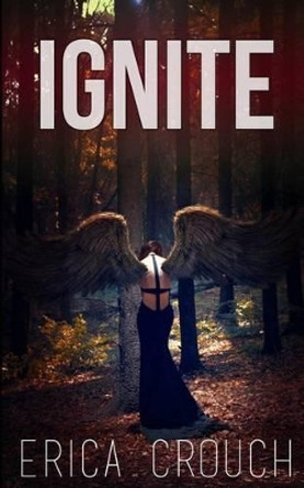 Ignite by Mickey Reed 9780991789740