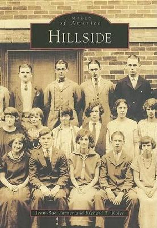 Hillside by Jean-Rae Turner 9780738508641