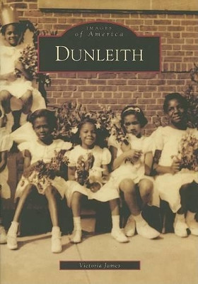 Dunleith by Victoria James 9780738542058
