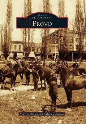 Provo by Marilyn Brown 9780738584676