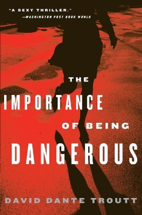 The Importance Of Being Dangerous by David Dante Troutt 9780060789305