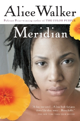 Meridian by Alice Walker 9780156028349