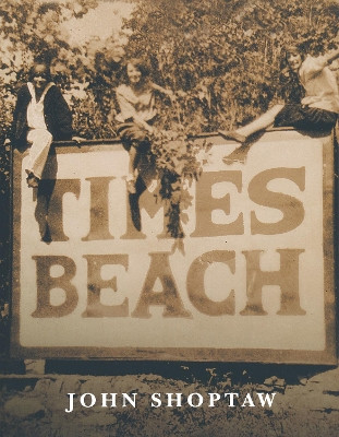 Times Beach by John Shoptaw 9780268017859