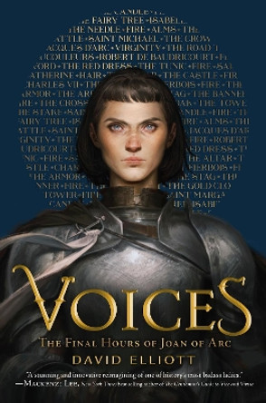 Voices: The Final Hours of Joan of Arc by David Elliott 9780358452089