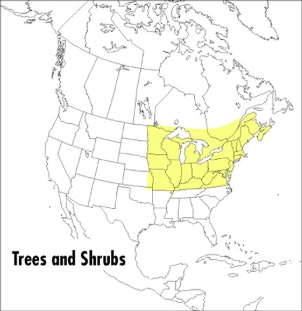 A Field Guide to Trees and Shrubs: Northeastern and North-Central United States and Southeastern and South-Central Canada by George A. Petrides 9780395353707