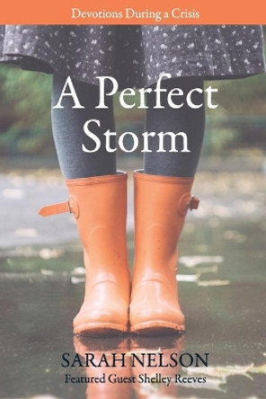 A Perfect Storm: Devotions During A Crisis by Shelley Reeves 9780578859934