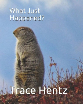 What Just Happened? by Trace L Hentz 9780578867250