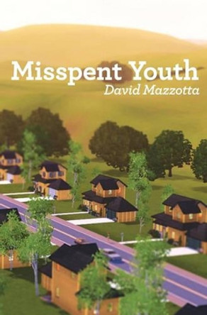 Misspent Youth by David Mazzotta 9780615434216